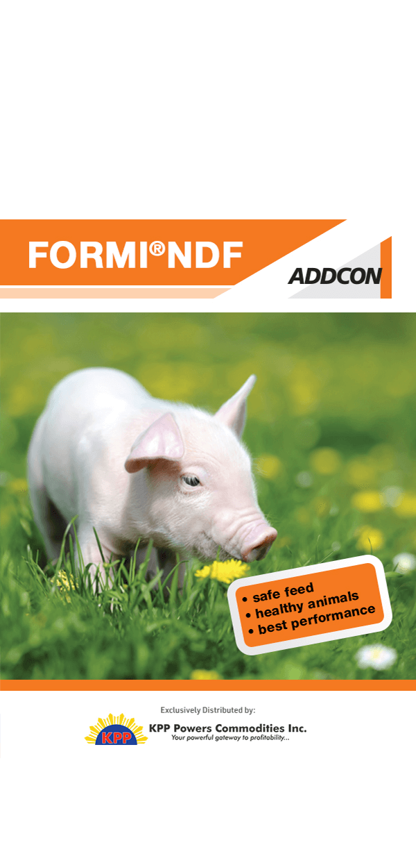 formi-ndf-kpp-powers-commodities-inc